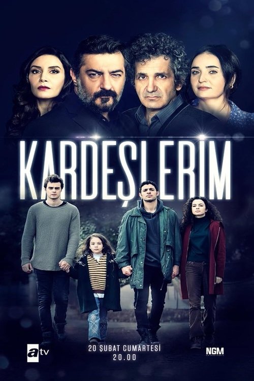 Ver temporada 4 de Hermanos Póster de la temporada 4 de la serie Hermanos