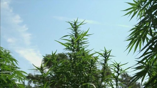 Image de l'épisode 7