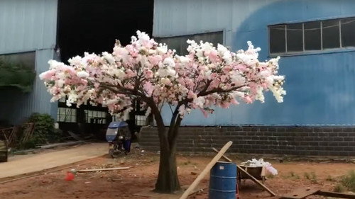 Green Grey Black Brown