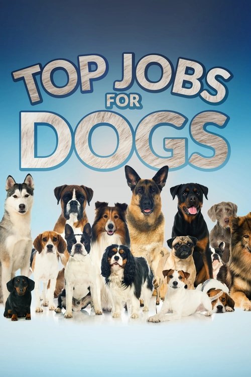 Top Jobs for Dogs 2021