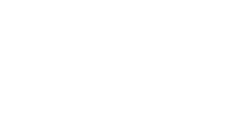 The Color of Pomegranates