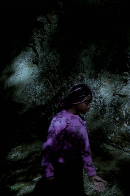 The Creature of Darkness poster