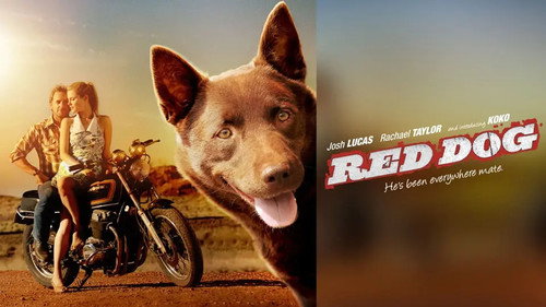 Red Dog