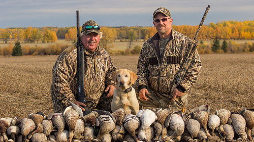 American Birdhunter - Season 1 Backdrop Blur