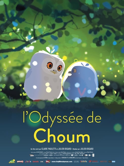 L'Odyssée de Choum 2020