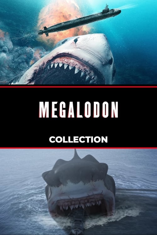 Megalodon Collection Poster