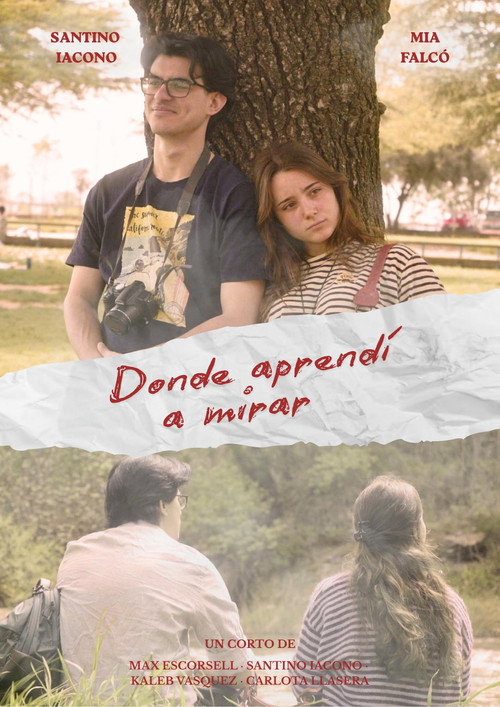 Poster zu Dónde aprendí a mirar