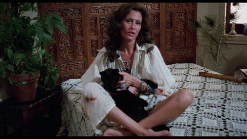 9 Lives of a Wet Pussy