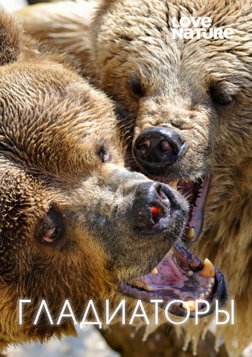 Гладиаторы