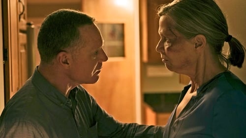 Chicago P.D. Distrito 21: 4×3