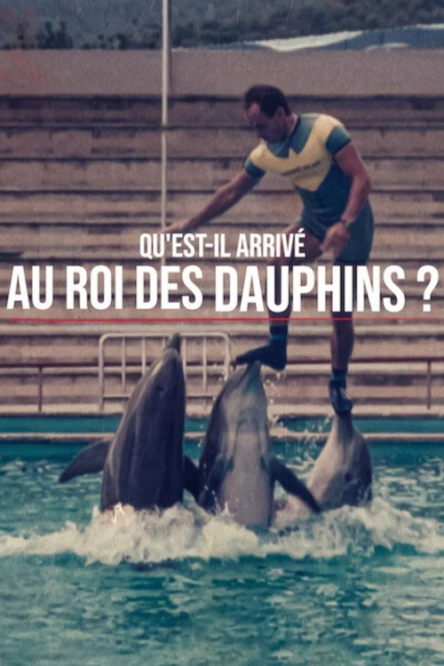 Qu'est-il arrivé au roi des dauphins ?