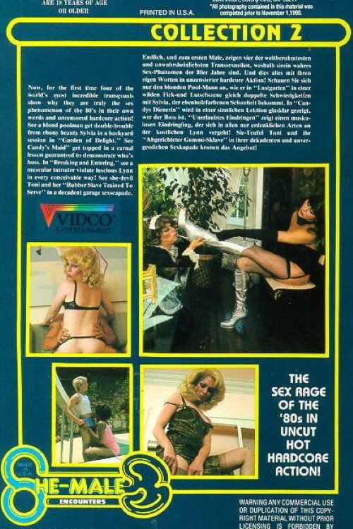 She-Male Encounters 2