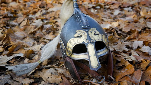 Quest for the Lost Vikings - Season 1 Backdrop Blur