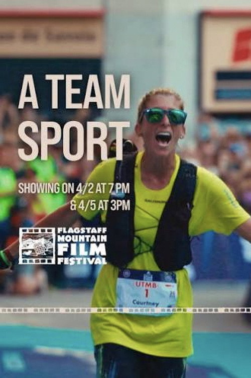 A Team Sport poster