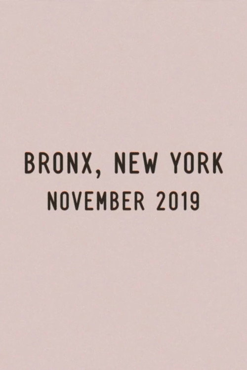 Bronx, New York, November 2019