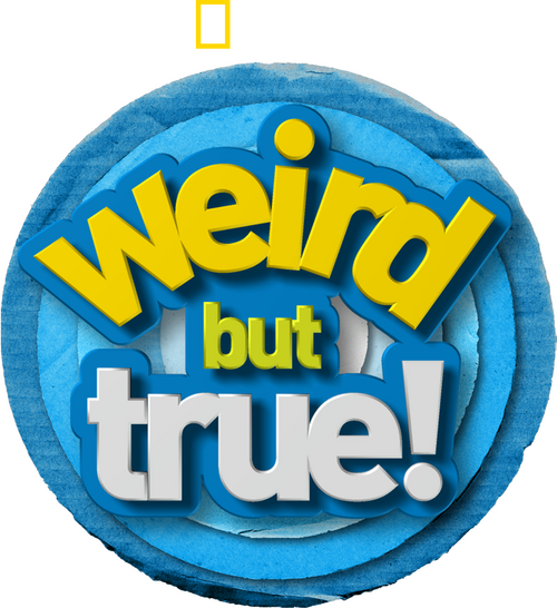 Weird But True!