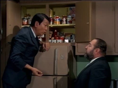 Family Affair, S04E10 - (1969)