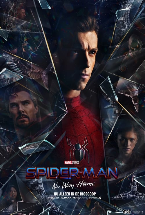 Spider-Man: No Way Home (2021) poster