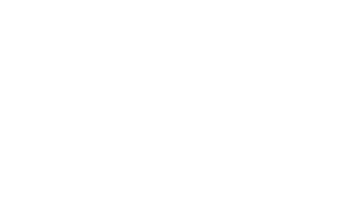 Hip Hop Was Born Here