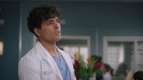Grey’s Anatomy: 22×12