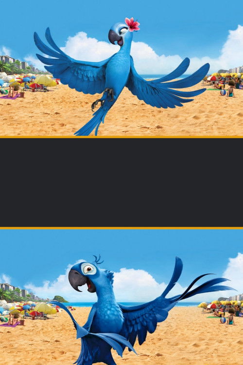 Pòster de Rio Collection