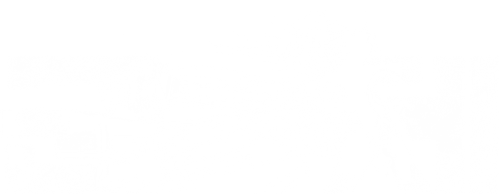 군체