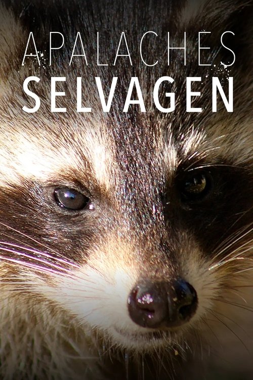 Image Apalaches Selvagens