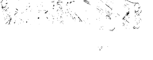 Vanished in Yosemite