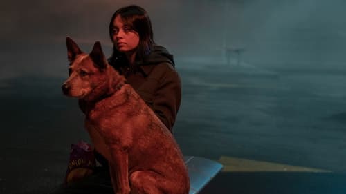 Poster della serie Orphan Black: Echoes