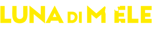 Luna di miele con mamma official logo
