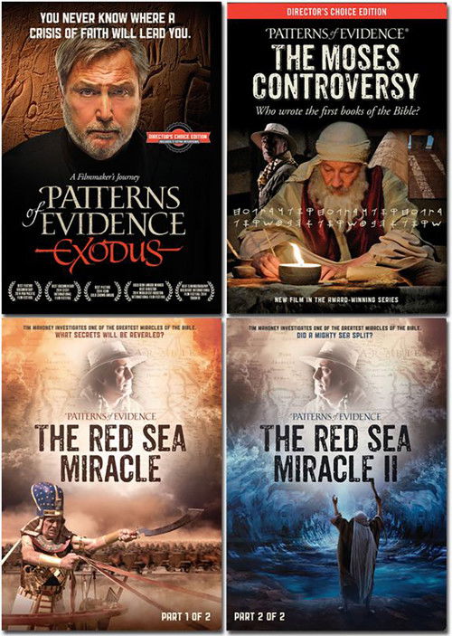 Pòster de Patterns of Evidence Collection