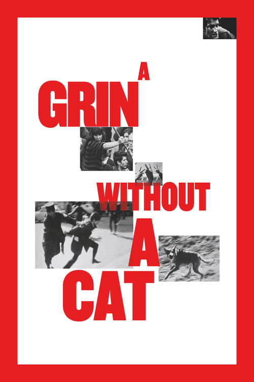 A Grin Without a Cat Movie Poster Image