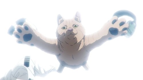 Nyaight of the Living Cat: 1×3