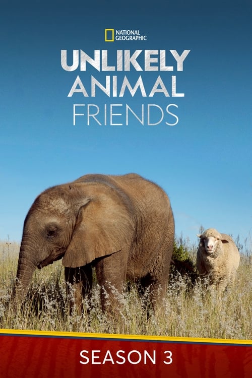 Where to stream Unlikely Animal Friends Season 3