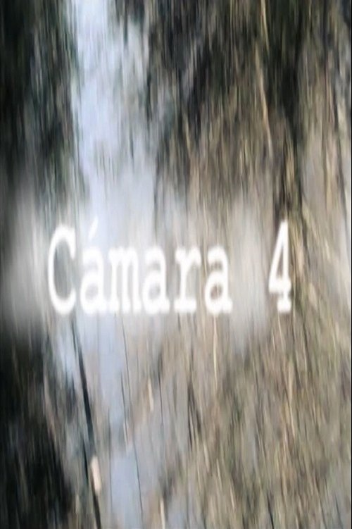Cámara 4 movie poster player