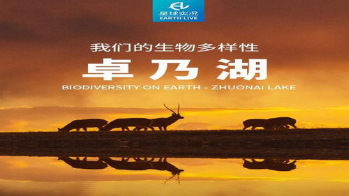 我们的生物多样性 —— 卓乃湖 Backdrop Blur