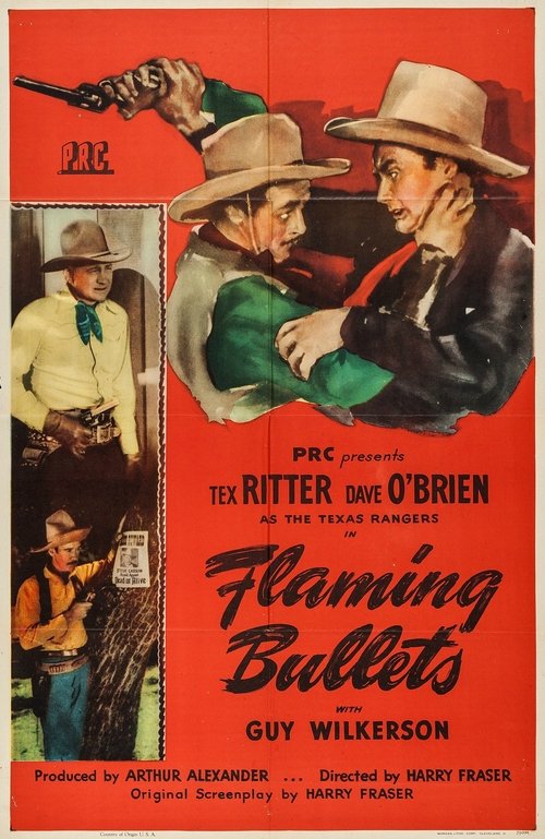 Flaming Bullets poster