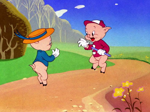 Pigs in a Polka