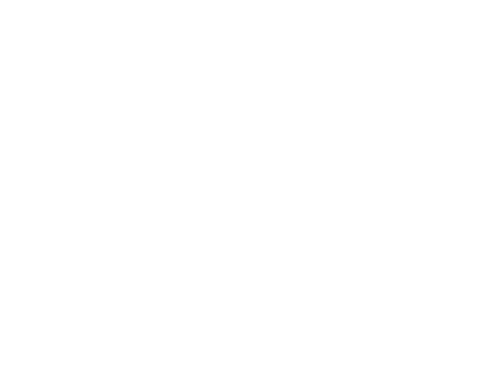 Acampamento de Verão - Logo 4