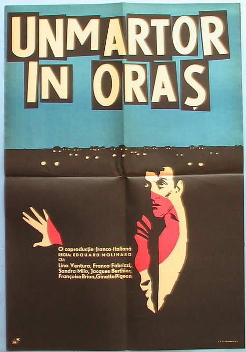 Witness in the City poster