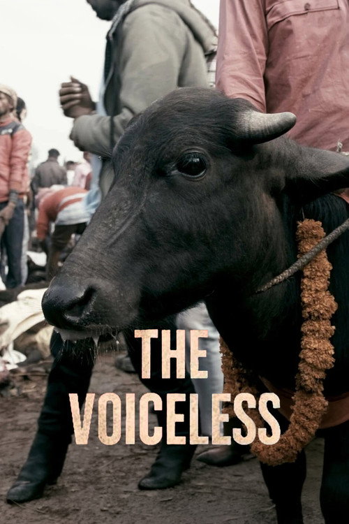 The Voiceless