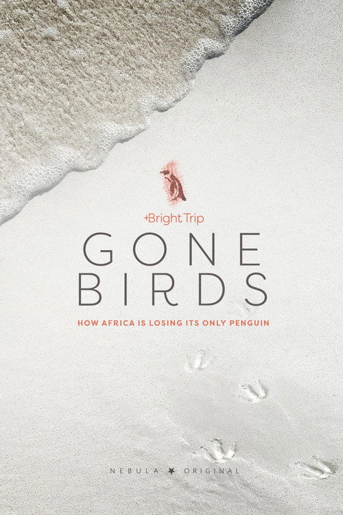 Gone Birds