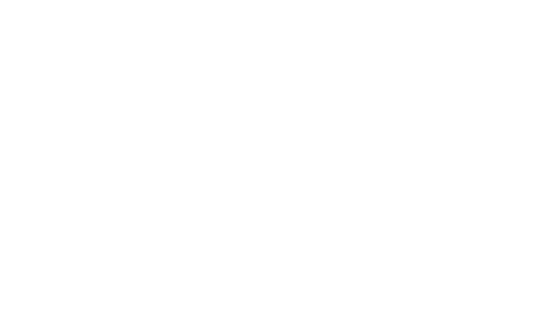 Che: Part Two