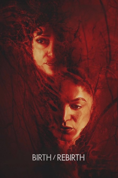 Birth/Rebirth poster