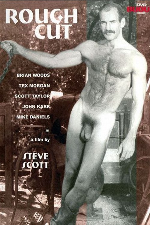Poster 3
