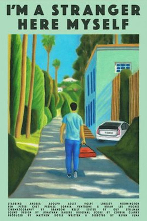 Poster of I'm a Stranger Here Myself