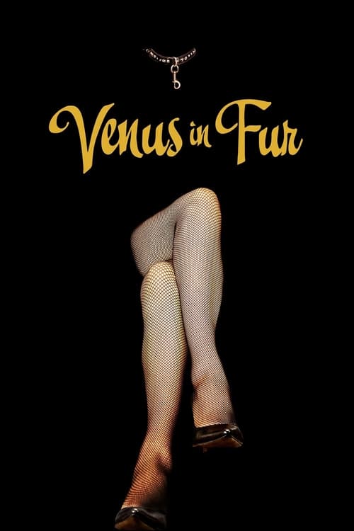 Poster La Vénus à la fourrure 2013