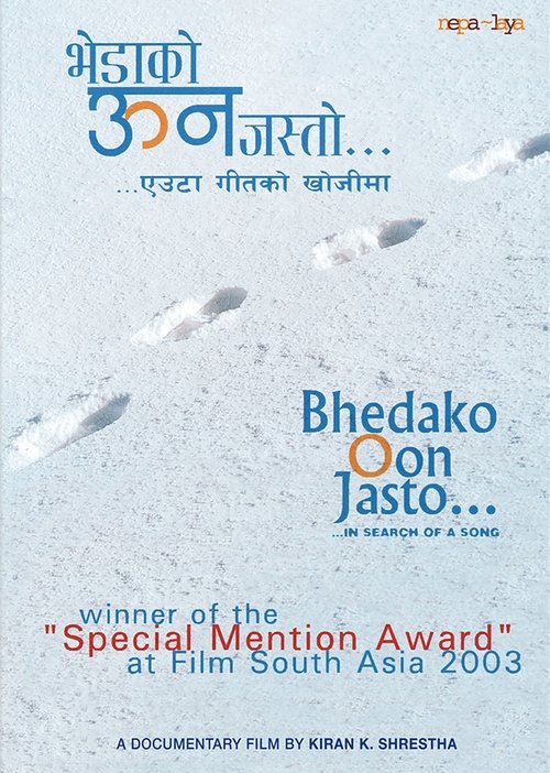 ...in search of a song (2003) poster