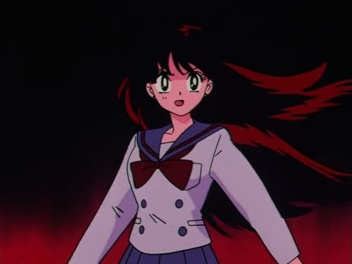 Poster della serie Sailor Moon