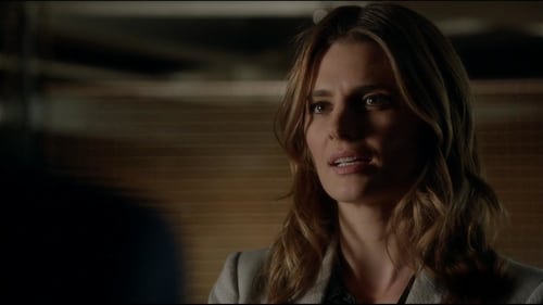 Castle: 7×19